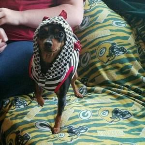 Meet your Posher, Kathy